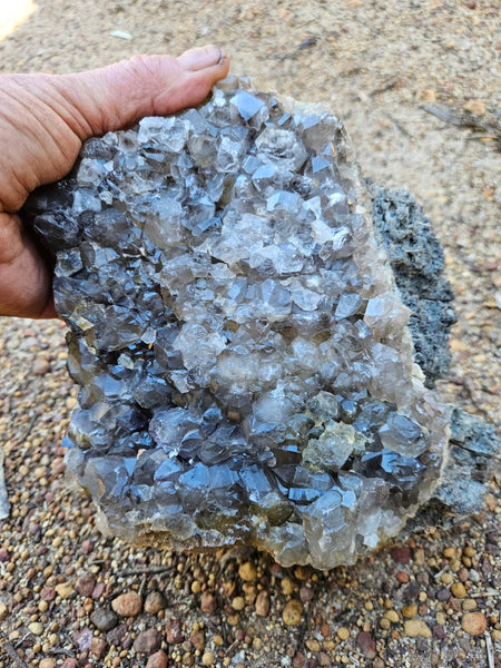 Wyloo smoky Quartz cluster. AM159
