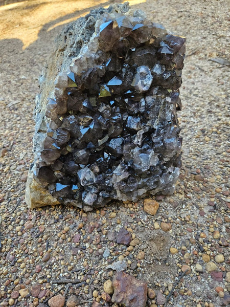 Wyloo smoky Quartz cluster. AM159