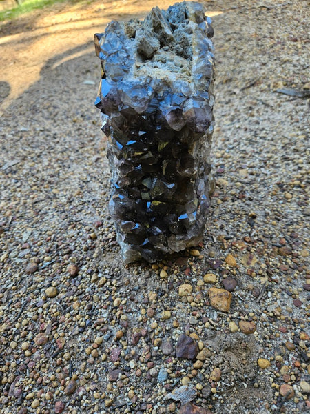 Wyloo smoky Quartz cluster. AM159