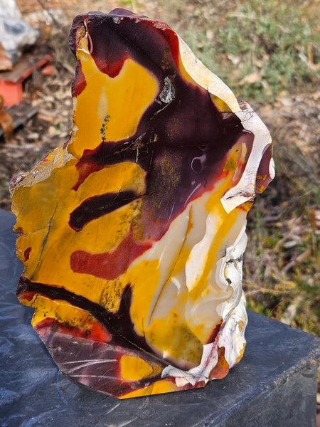 Polished Mookaite display specimen MK603