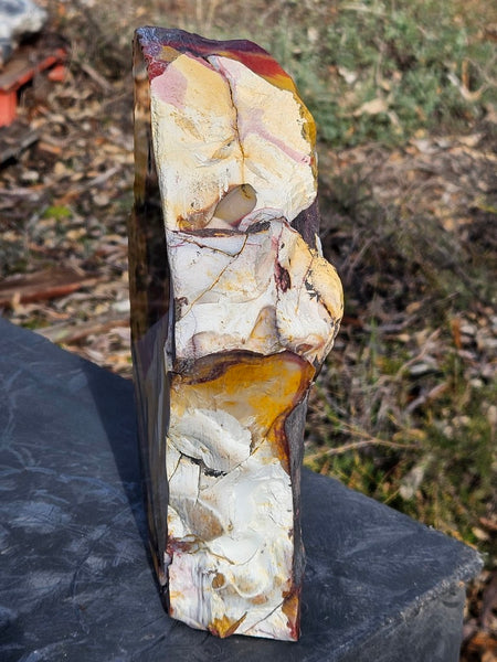 Polished Mookaite display specimen MK603
