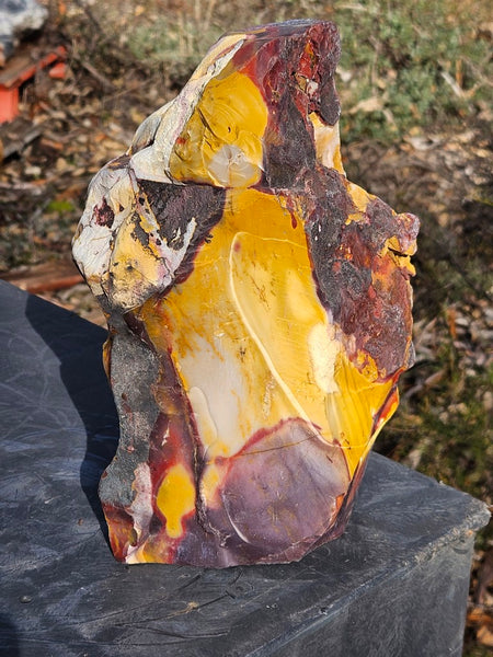 Polished Mookaite display specimen MK603