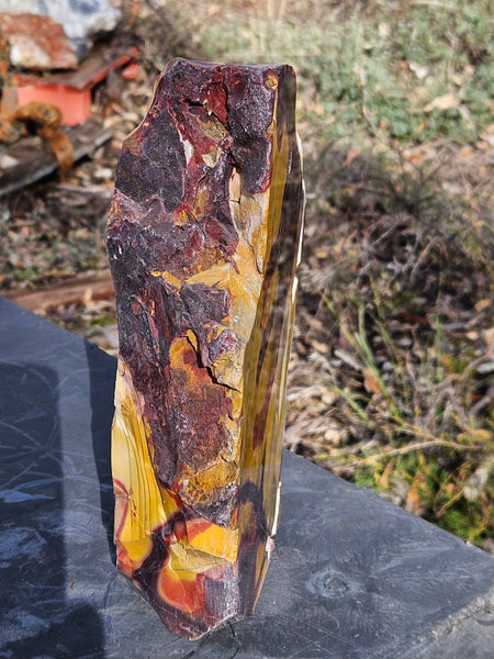 Polished Mookaite display specimen MK603