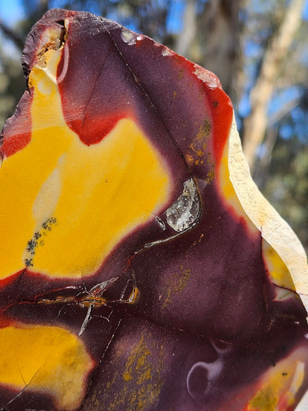 Polished Mookaite display specimen MK603