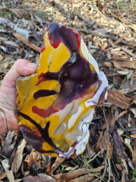 Polished Mookaite display specimen MK603