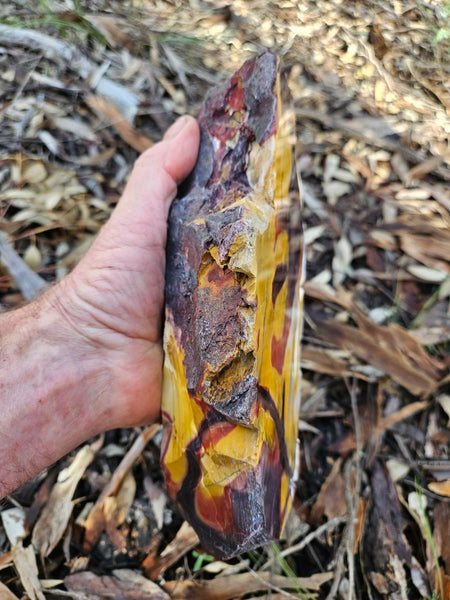 Polished Mookaite display specimen MK603