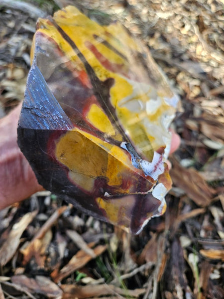 Polished Mookaite display specimen MK603