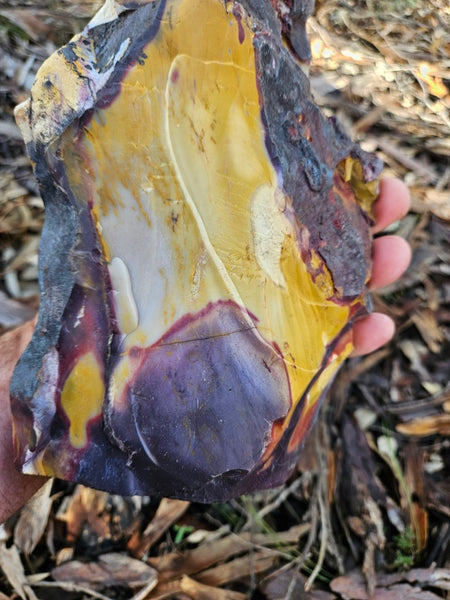 Polished Mookaite display specimen MK603
