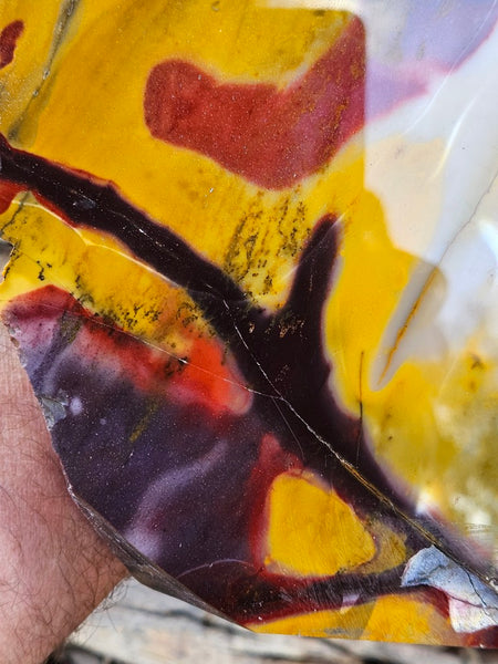Polished Mookaite display specimen MK603