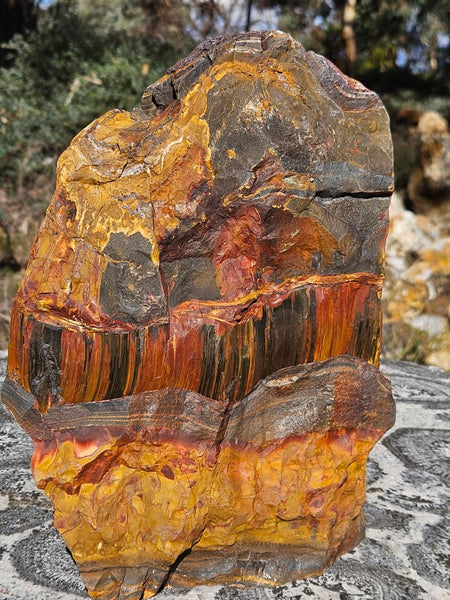 Polished Tiger Eye display specimen  TE502