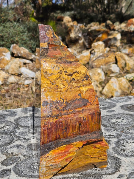Polished Tiger Eye display specimen  TE502