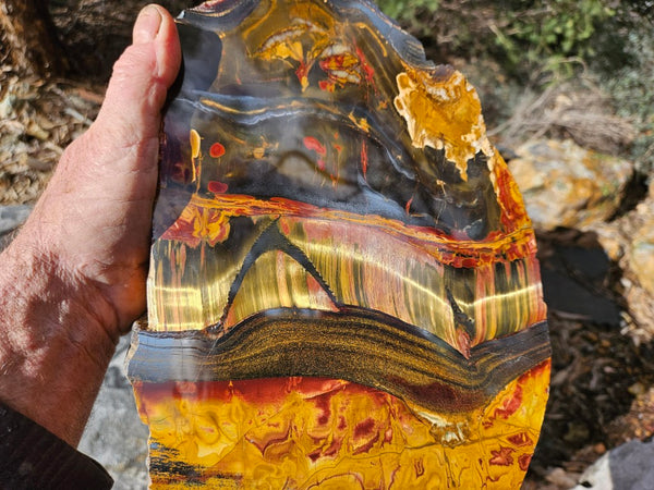 Polished Tiger Eye display specimen  TE502