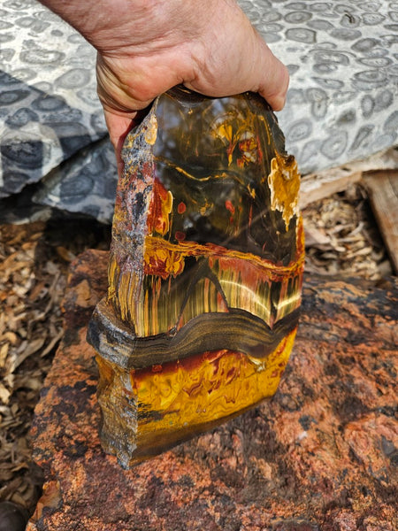 Polished Tiger Eye display specimen  TE502