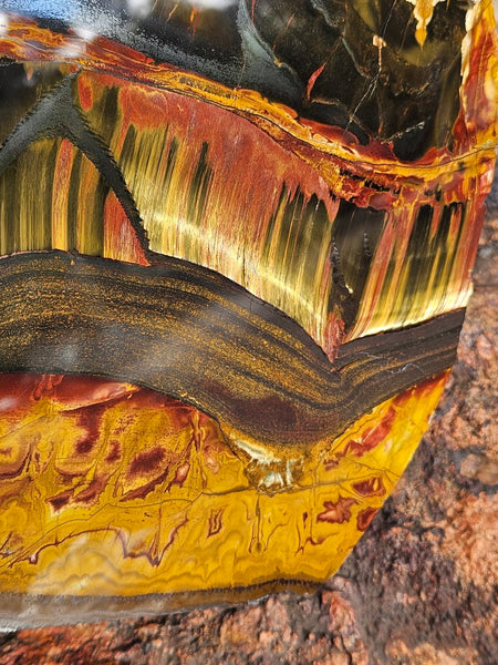 Polished Tiger Eye display specimen  TE502
