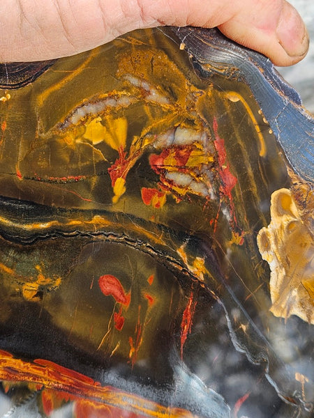 Polished Tiger Eye display specimen  TE502