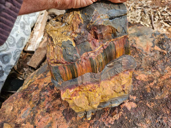 Polished Tiger Eye display specimen  TE502