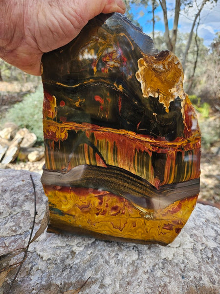 Polished Tiger Eye display specimen  TE502