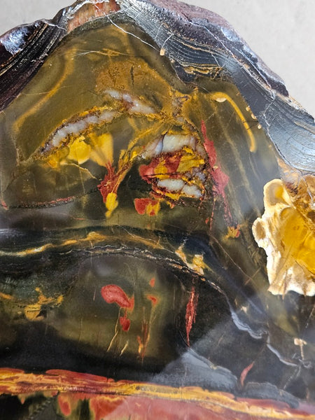 Polished Tiger Eye display specimen  TE502