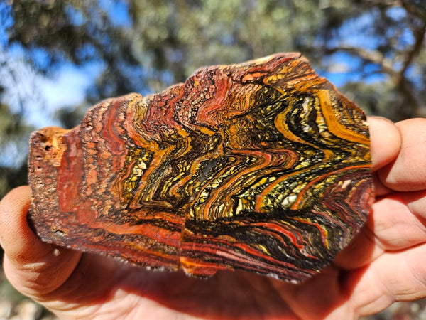 Polished Tiger Iron slab TI414