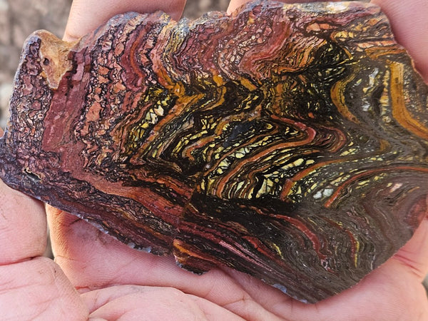 Polished Tiger Iron slab TI414