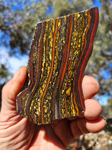 Polished Tiger Iron slab TI415