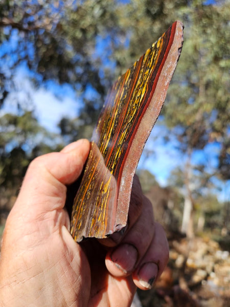 Polished Tiger Iron slab TI415
