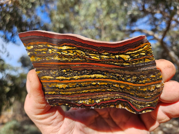 Polished Tiger Iron slab TI415