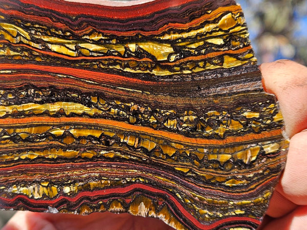 Polished Tiger Iron slab TI415