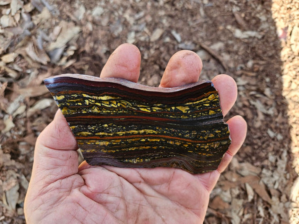Polished Tiger Iron slab TI415