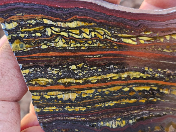 Polished Tiger Iron slab TI415