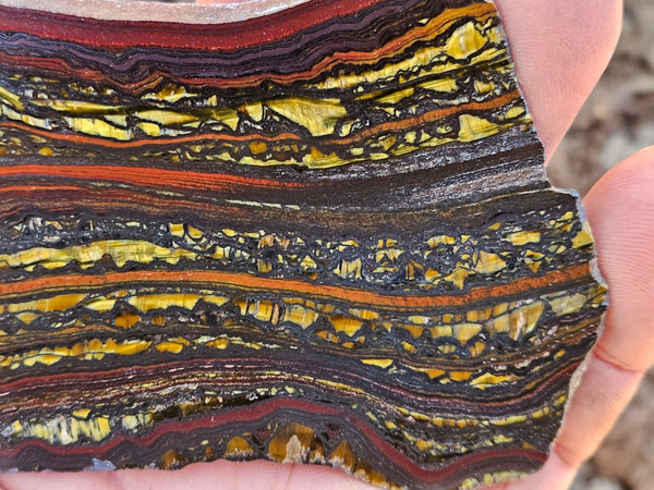 Polished Tiger Iron slab TI415
