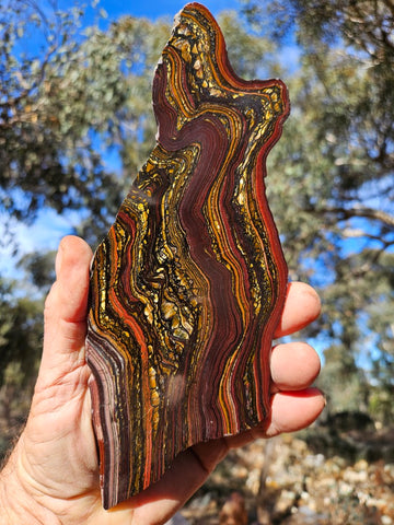 Polished Tiger Iron slab TI416