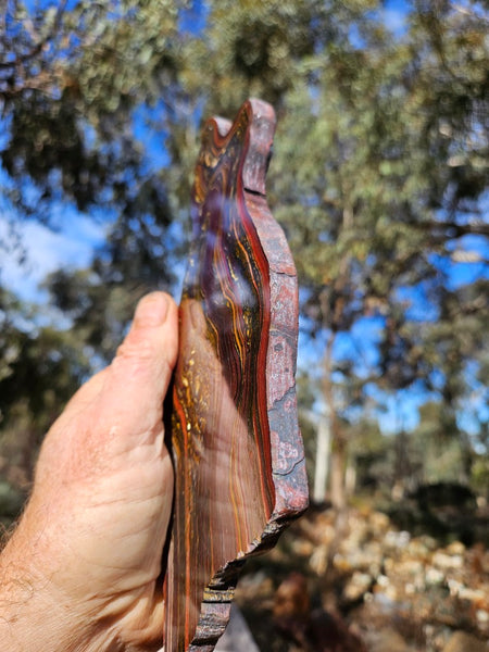 Polished Tiger Iron slab TI416