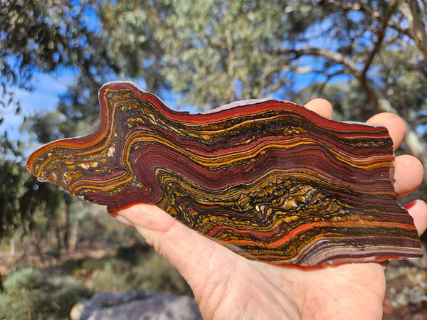 Polished Tiger Iron slab TI416