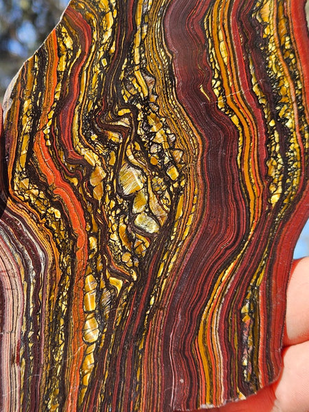 Polished Tiger Iron slab TI416