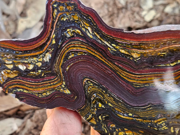 Polished Tiger Iron slab TI416