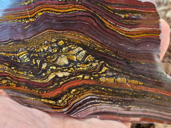 Polished Tiger Iron slab TI416