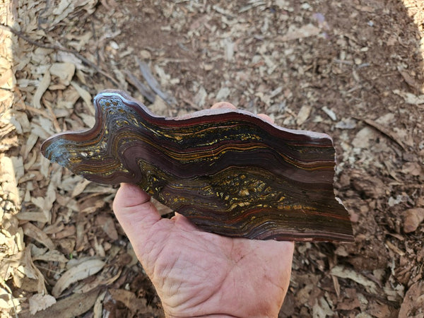 Polished Tiger Iron slab TI416