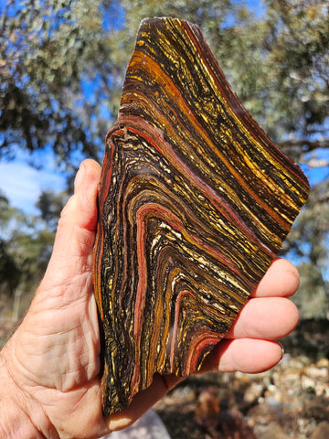 Polished Tiger Iron slab TI417