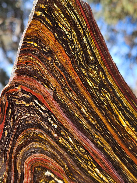Polished Tiger Iron slab TI417