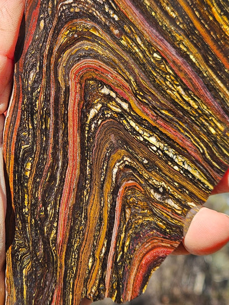 Polished Tiger Iron slab TI417