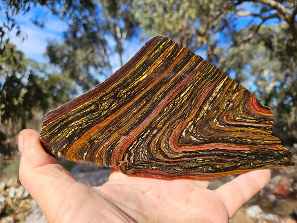 Polished Tiger Iron slab TI417