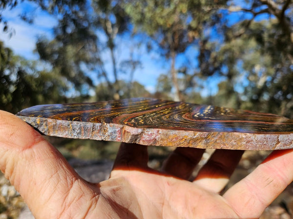 Polished Tiger Iron slab TI417