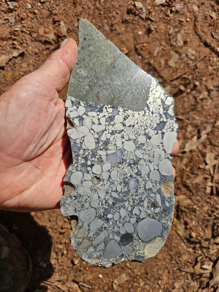 Polished Beaton's Creek auriferous conglomerate slab BC123