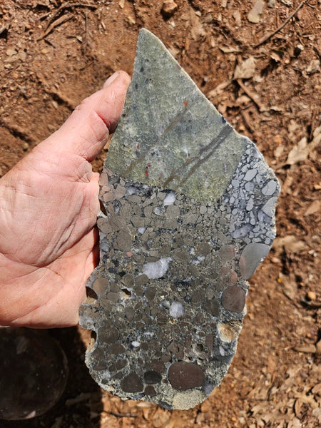 Polished Beaton's Creek auriferous conglomerate slab BC123