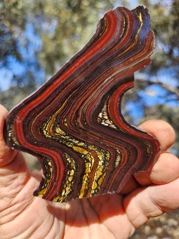 Polished Tiger Iron slab TI418