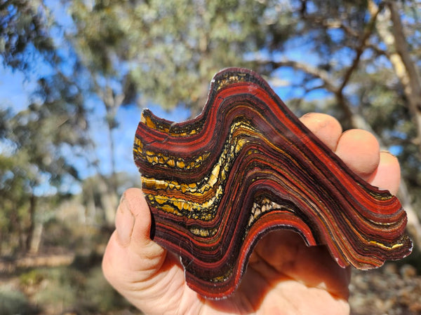 Polished Tiger Iron slab TI418