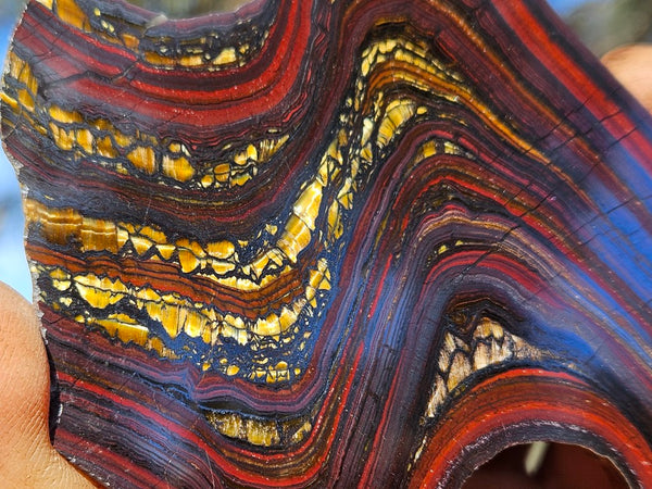 Polished Tiger Iron slab TI418