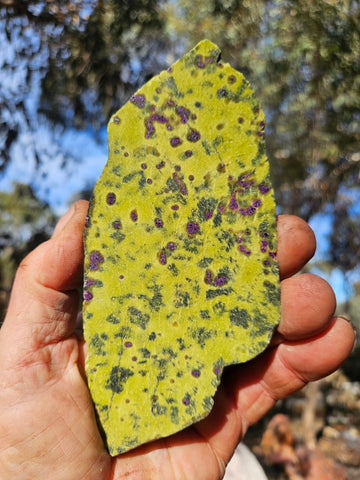 Polished Stichtite in Serpentine slab (Atlantisite) STI154
