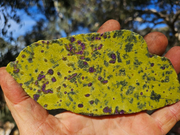 Polished Stichtite in Serpentine slab (Atlantisite) STI154